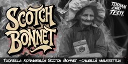 Scotch Bonnet Tehtaan Chilitesti